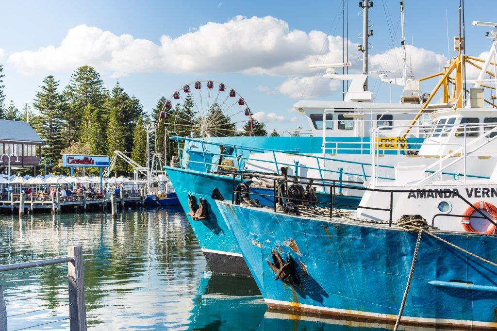 Free School Holiday Activities for Kids in Fremantle Fishing Boat Harbour
